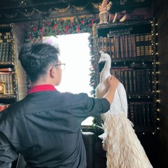 Tình Cha- Lê Bảo