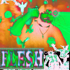 FLESH prod.gxm
