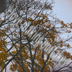 passionately making mistakes