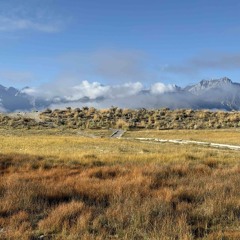 Horse Plains Sky Dance