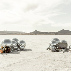 Insects made of Life