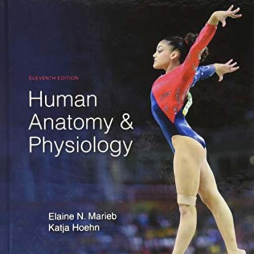 Get KINDLE 📭 Human Anatomy & Physiology by  Elaine Marieb &  Katja Hoehn EBOOK EPUB