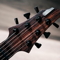 Bogren Digital Downtuned IR Test - Chug Fest