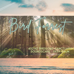 Bird Forest  Extended Track 432 hertz Frequency