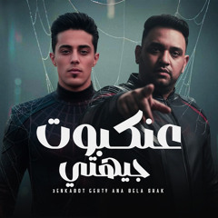 عنكبوت جيهتي