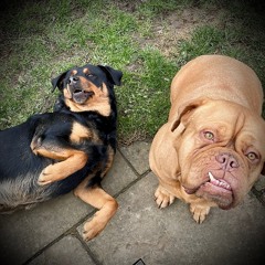 WHAT WE'RE TALKING ABOUT