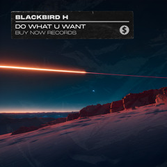 Blackbird H - Do What U Want