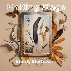 Typeshit Prod.Dxntemadeit