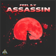 Feel S.Y - Assassin (Original Mix) [NomiaTunes Release]