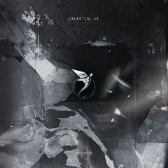 RYCH DSYGNR & SGR - Action [Astral]