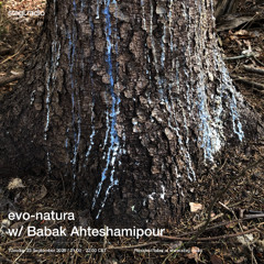 Stegi | evo-natura with Babak Ahteshamipour ― 23rd September 2025