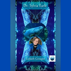 The Goliath Grouper, with Sylvia Earle, for Voices from the Ocean