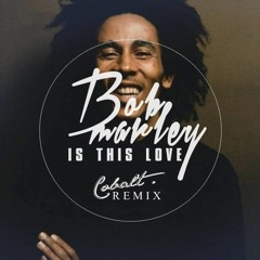 Bob Marley - Is This Love (Mt. Eden Edit)
