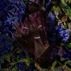 her side piece (jeunekash)