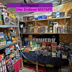 Mixtape - Endlevels - Dj Pegasuz