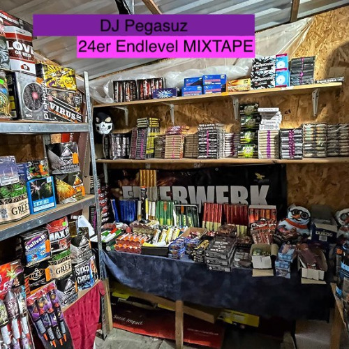Mixtape - Endlevels - Dj Pegasuz