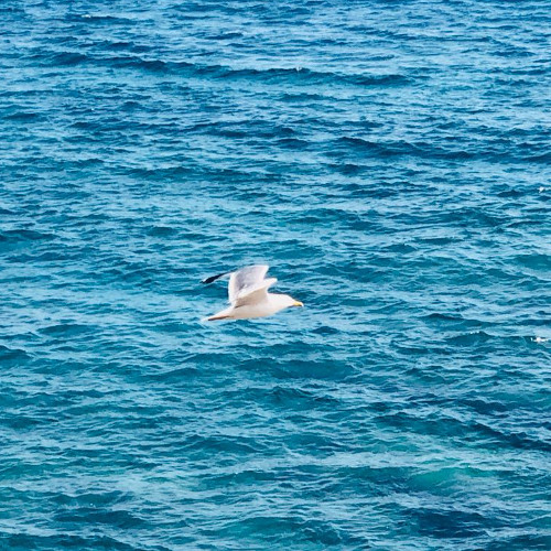 Drifting Waves