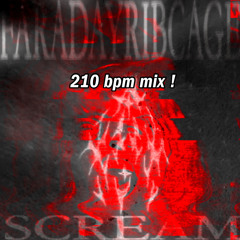 SCREAM(210 BPM MIX)