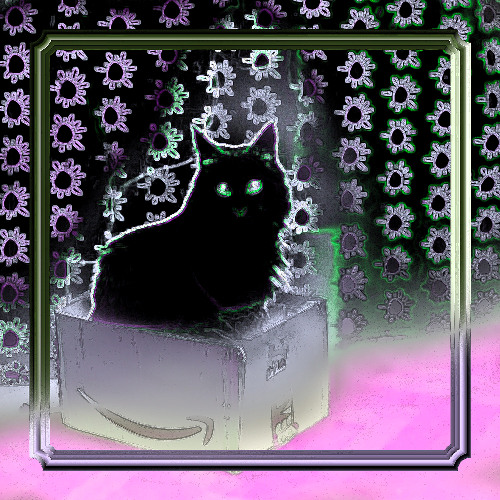 °C𝐀T_I𝐍_𝐀_𝐁O𝐗°_D𝐄E𝐏H𝐎U𝐒E_P𝐒Y_#𝐌E𝐆A𝐌I𝐗