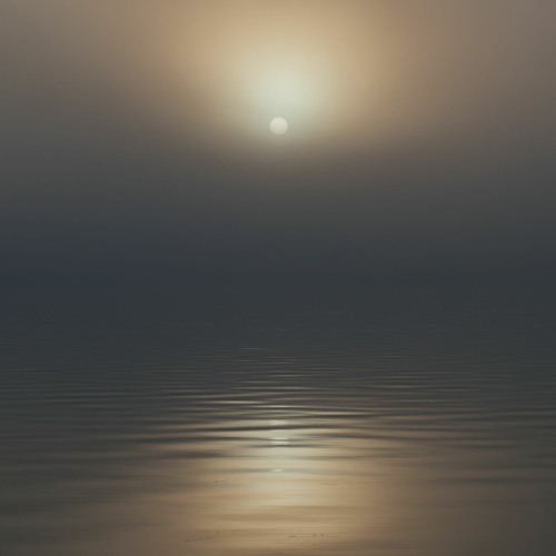 Warmth - Motionless