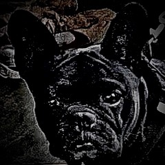 Nachbar (Free Download)