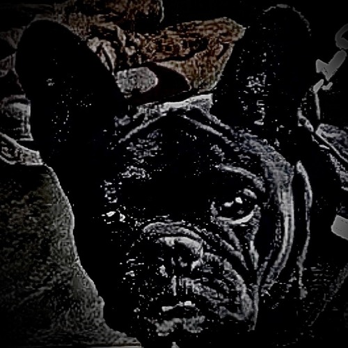 Nachbar (Free Download)
