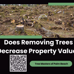 Does Removing Trees Decrease Property Value?