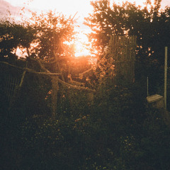 Radio Relativa: Building Bridges, November 2025