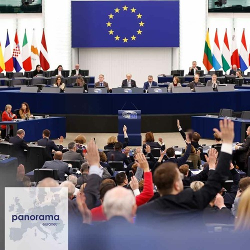 Andrzej Halicki, Member of the European Parliament – EPP, Poland (in Polish)
