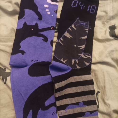 2025.10.19 mini POI w Kołorkingu