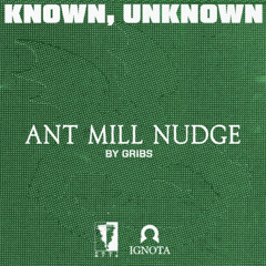 KNOWN, UNKNOWN: Ant Mill Nudge by Gribs