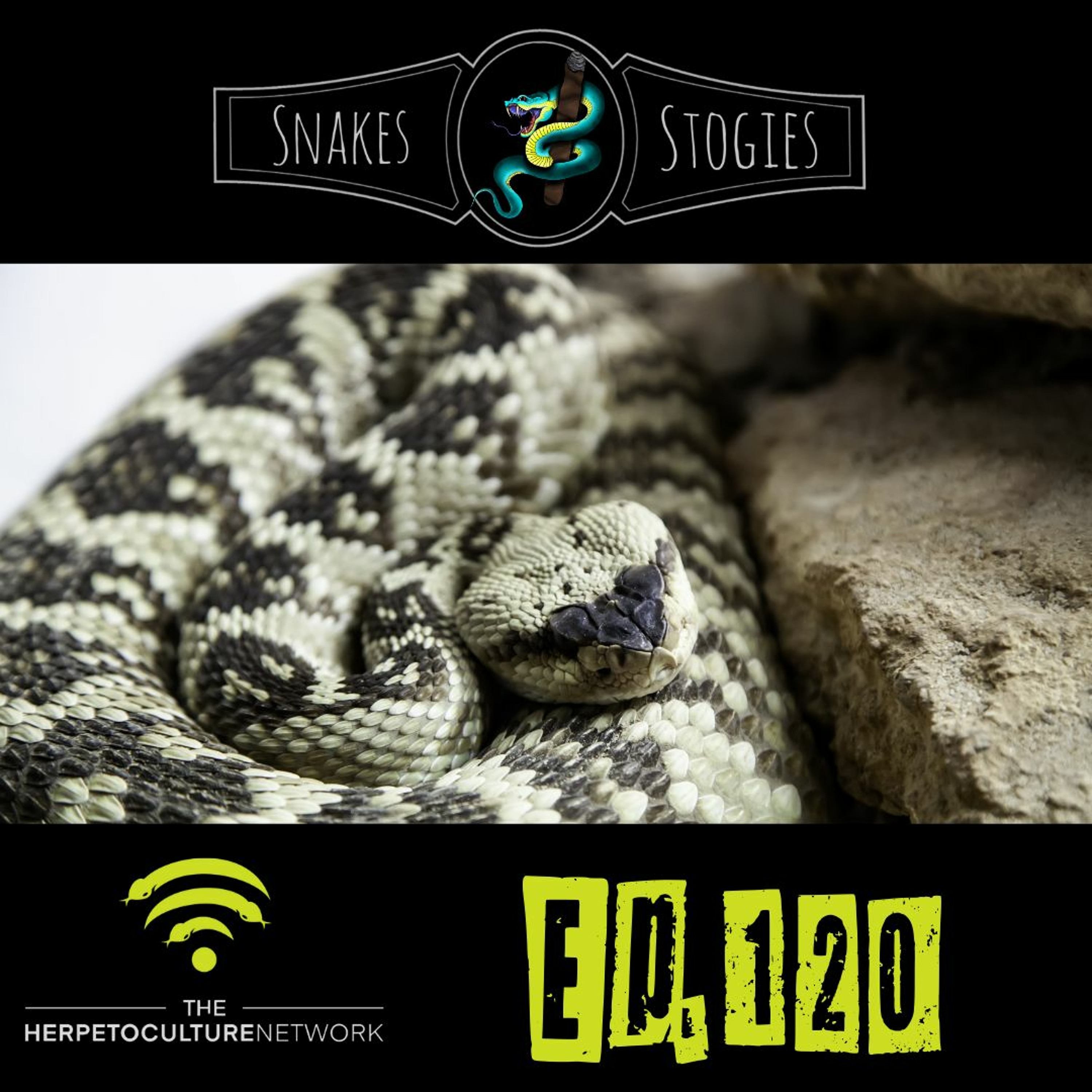 Snakes & Stogies Ep. 120 - Crotalids with Derek Dykstra