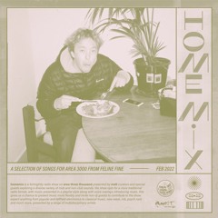 Homemix w. Feline Fine - 8 February 2022