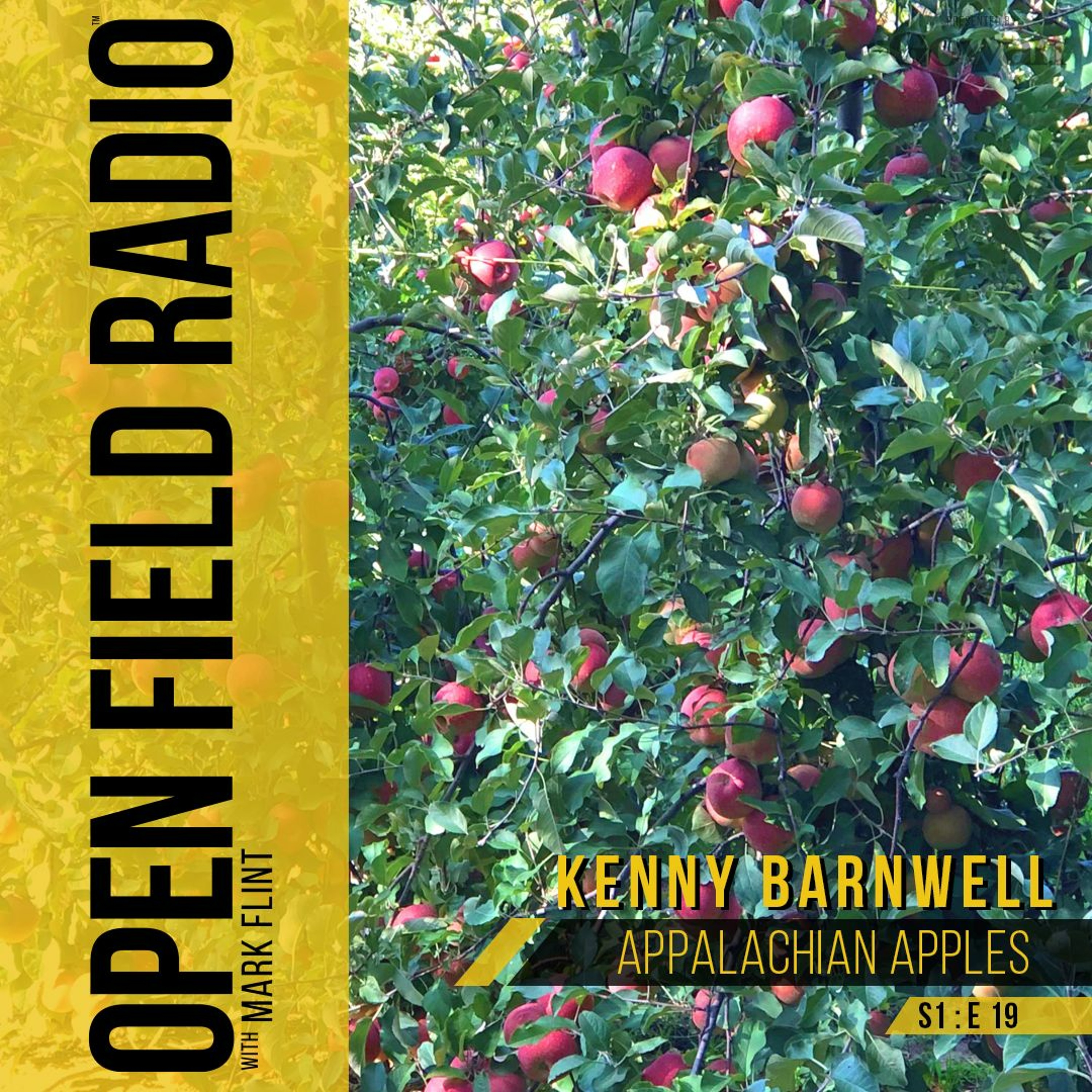 Open Field Radio