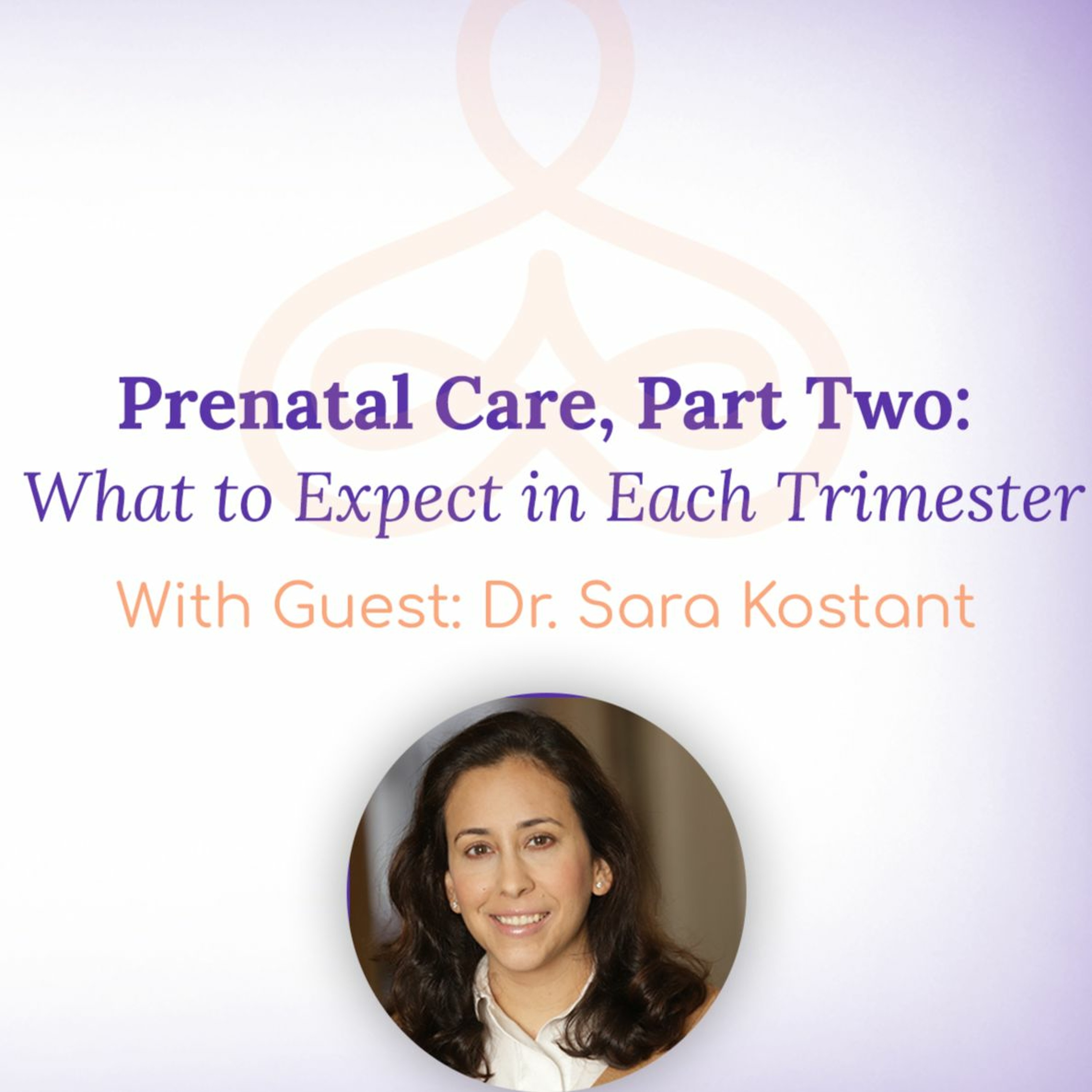 "Prenatal Care, Part Two: What to Expect in Each Trimester" - with Dr. Sara Kostant episode artwork