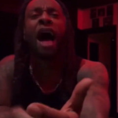 would you like to play roblox with me?