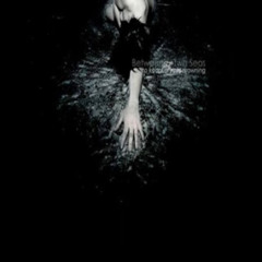 Lets Have a Ball - Between Two Seas