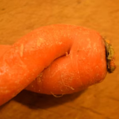 revrb play beat - SEXY CARROT