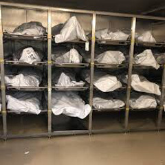 morgue (dev)