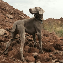 Close to My Fire (Giusy)