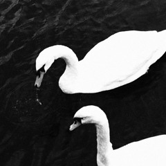 "geht's noch??" [147 BPM]