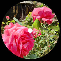 Rose Tree Garden