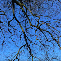 emergence w dtyb 06 07 2025