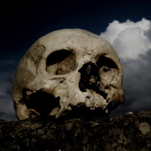 Violet Cold – Void (Originally Performed By ColdWorld)