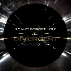 I Can't Forget You
