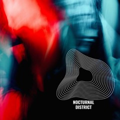 Nocturnal District 2