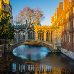 Revive- (Piano solo)