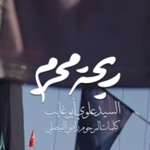 ريحة محرم :: السيد علوي أبو غايب :: محرم 1447