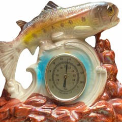 fishthermostat (23°C / 73.4°F)