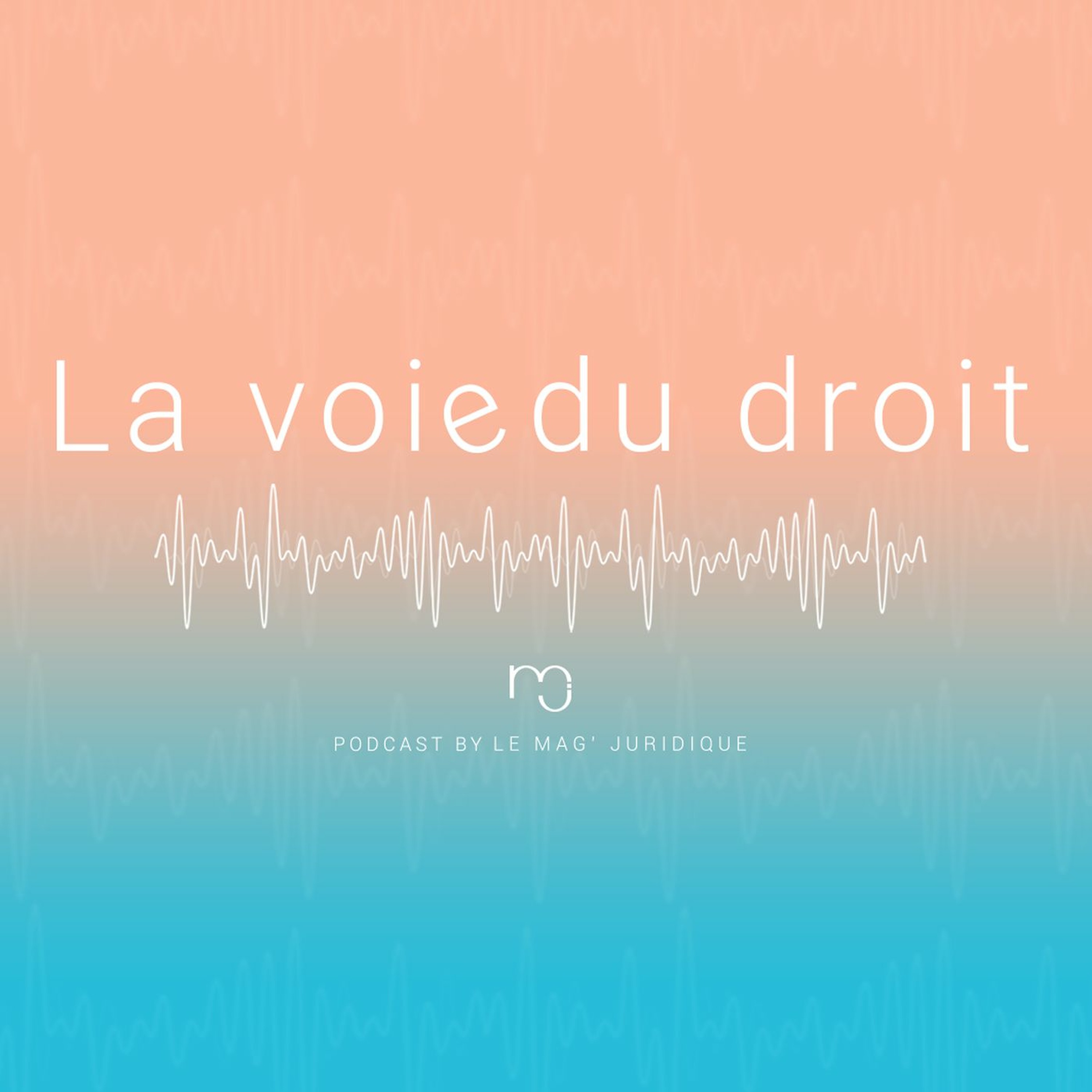 La voie du droit - by Le Mag\' Juridique